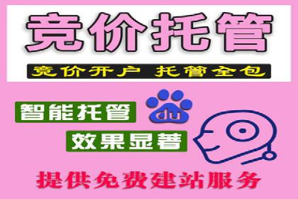 SEM代运营案例：揭秘搜索营销策略